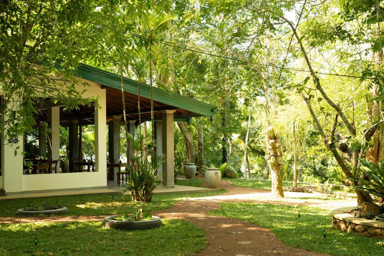 Villa Birdlake Hikkaduwa Exteriör bild