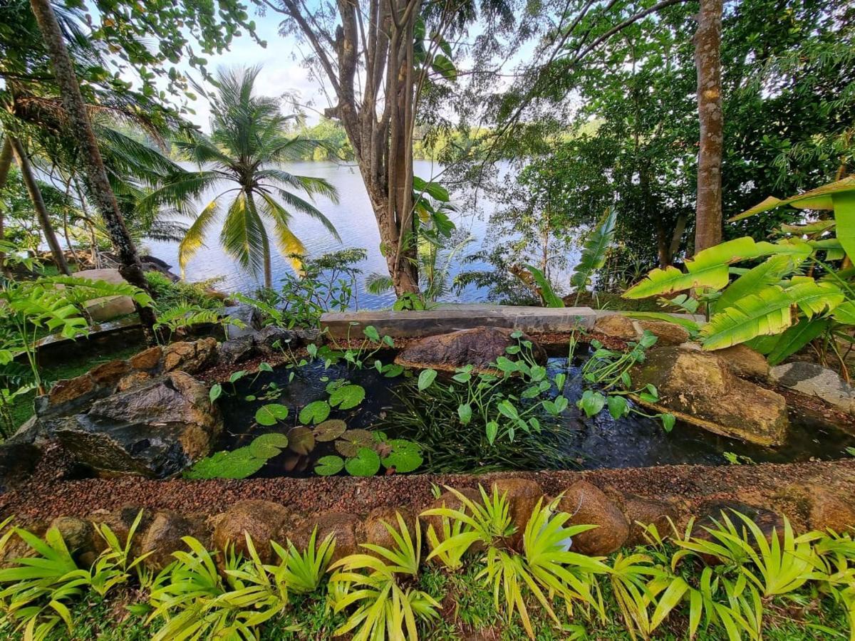 Villa Birdlake Hikkaduwa Exteriör bild