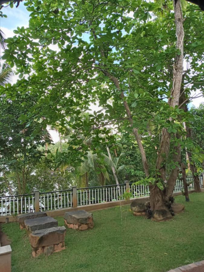 Villa Birdlake Hikkaduwa Exteriör bild