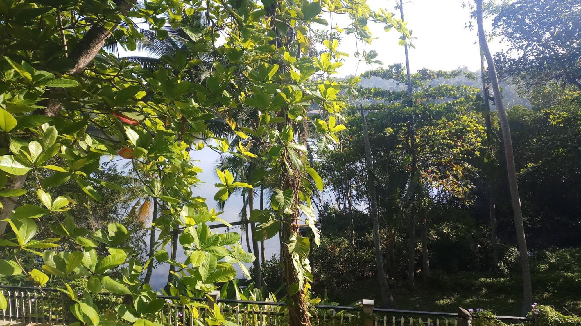 Villa Birdlake Hikkaduwa Exteriör bild